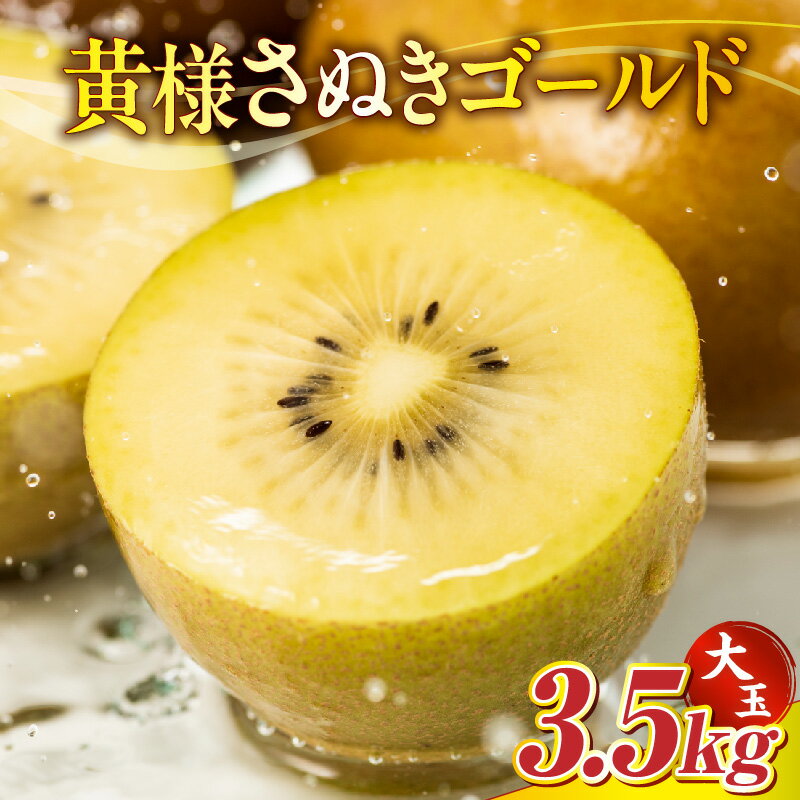 【ふるさと納税】【先行予約】黄様さぬきゴールド3.5kg(大玉)【香川県共通返礼品】 キウイ フルーツ デザート 果物 ゴールドキウイ 甘み 贈り物 贈答 旬 旬の果物 旬のフルーツ おすすめ 人気 特産品 果肉 季節の果物 季節 グルメ 生鮮食品 お裾分け 香川県 三木町 送料無料