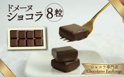 【北海道・沖縄・離島配送専用ページ】ドメーヌ ショコラ 8粒入り チョコレート カカオ 豆 冷凍 母の日 贈答 ギフト プレゼント バレンタイン チョコ クリスマス 静岡県 長泉町