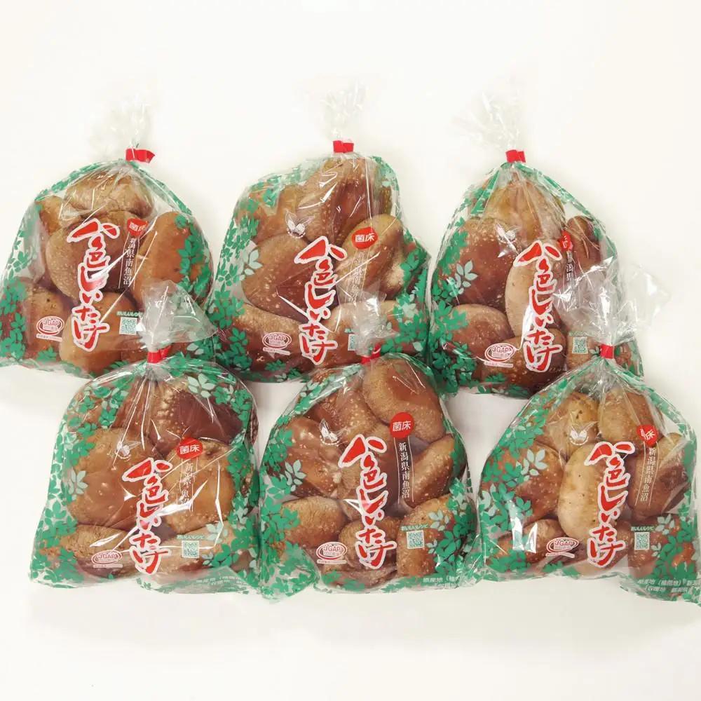 【JAみなみ魚沼定期便】家庭用「八色しいたけ」（1.5kg×全6回） 訳あり 不ぞろい 農家応援 厚いにもほどがある｜しいたけ