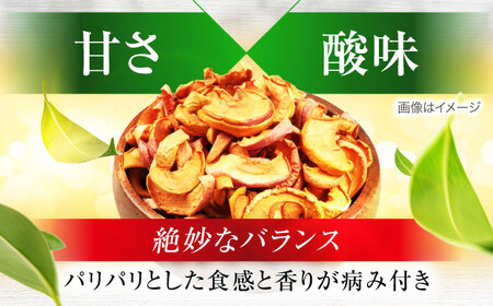 【3回定期便】＜砂糖不使用＞生乾燥 さんふじりんご 中パック 160g【多々楽達屋】[MAD051]