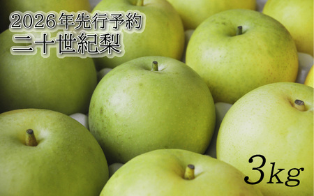 【2026年 先行予約】二十世紀梨 3kg｜鳥取 東光園 梨 2026年収穫後 2026年8月下旬から順次発送【41051】