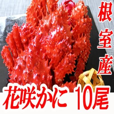 ふるさと納税 根室市 【北海道根室産】花咲かに400〜600g×10尾 D-70007