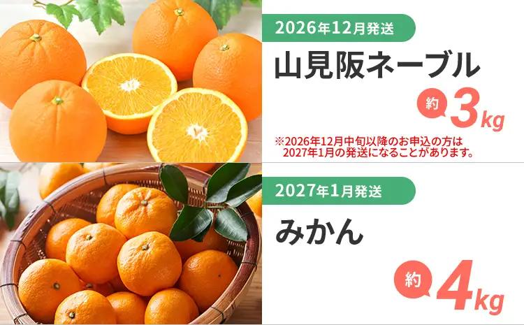 定期便 果物定期便A 4回発送 みかん 山見阪ネーブル デコポン 博多あまおう 定期発送 果物 くだもの フルーツ 柑橘 イチゴ 送料無料 【2026年12月～2027年3月発送】