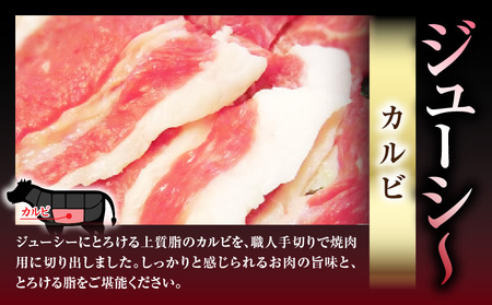 ランプ&イチボ&カルビ　希少部位　MIX焼肉　5kg(500g×10)秘伝のタレ漬け| 肉 牛肉 タレ 漬け 秘伝 味付き ソース ランプ カルビ イチボ 冷凍 BBQ バーベキュー 香川県 三木町 