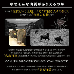 【ふるなびWEEK対象】佐賀牛ヒレサイコロステーキ200ｇ 161-J799