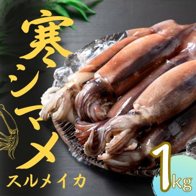 ふるさと納税 海士町 【のし付き】スルメイカ 丸ごと5本 1kg 寒シマメ いか イカ 鮮度そのまま CAS 冷凍 個包装