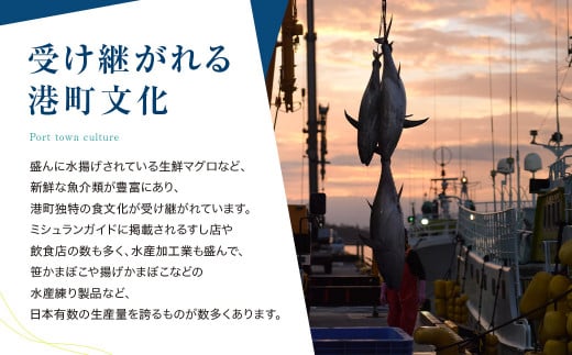 天然本まぐろ入りまぐろたたき 100g×10p | 魚 ねぎとろ ごはんのお供 丼 小分け 冷凍 まぐろ たたき 魚 刺身 お刺身 海鮮 冷凍 明豊 宮城県 塩竃市 塩釜市 | at00005-10p