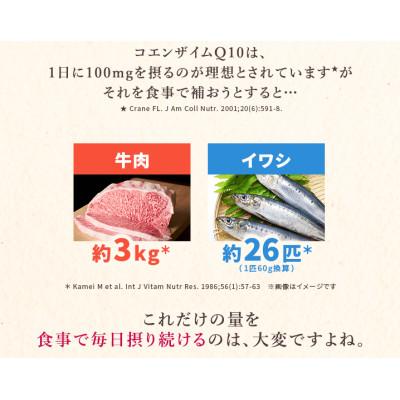 ふるさと納税 袋井市 DHCコエンザイムQ10還元型 30日分【機能性表示食品】12個セット |  | 03