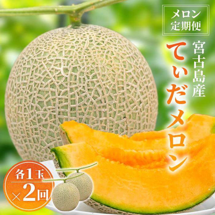 【ふるさと納税】【メロン定期便】宮古島産てぃだメロン 1玉《2025年冬・2026年春発送》＜8farm＞(JC003)