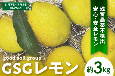 【限定100セット】GSGレモン～残留農薬不検出～ 約3kg