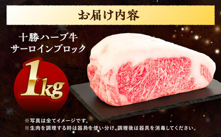 北海道 十勝 ハーブ牛 サーロイン ブロック 約1kg 《足寄町》【株式会社ノベルズ食品】[BEAQ064]