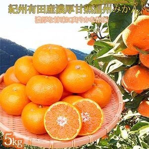 【発送月固定定期便】紀州和歌山産旬のフルーツセット(不知火・清見・スイカ・桃・柿・みかん)全6回【配送不可地域：離島・北海道・沖縄県】【4005767】