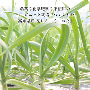 【かつおのたたき】にんにく・タレ付き 3〜4人前 かつおのたたき 鰹 BQAU004