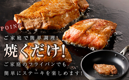 黒毛和牛ヒレステーキセット 合計 300g（ヒレステーキ 200g／ヒレサイコロステーキ 100g）【氷温熟成×極味付け】