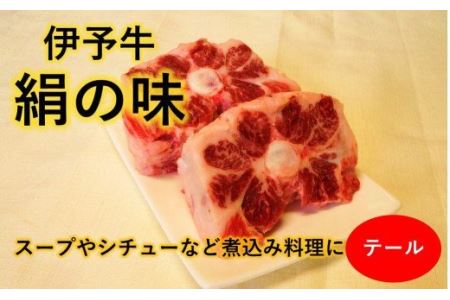 【希少部位・数量限定】伊予牛絹の味  テール 約1Kg (冷凍)