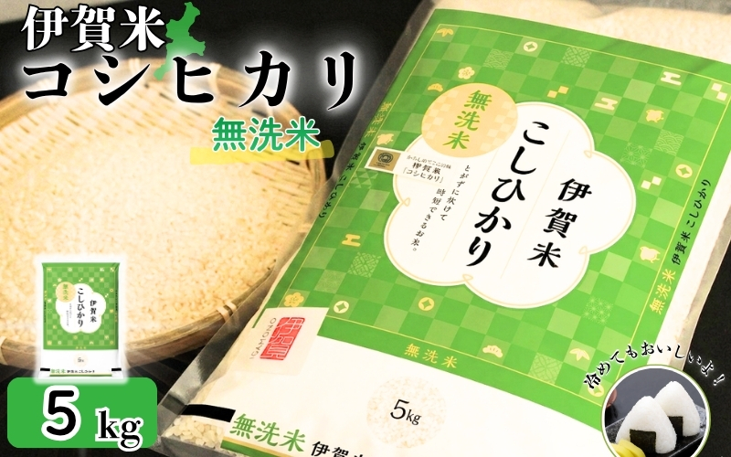 令和8年産 無洗米 伊賀米コシヒカリ 5kg【jaig0004A】