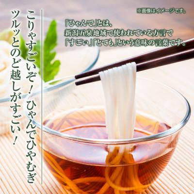 ふるさと納税 十日町市 ひゃんでひやむぎ(600g×8袋)約48人前 松代そば善屋 新潟県十日町市 |  | 01