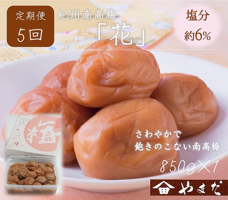 
            【定期便5回】紀州南高梅「花」塩分約6％（850g）
          