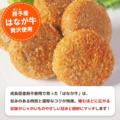 ふるさと納税 西予市 <はなが牛コロッケ 計30個> オリジナル おつまみ お肉 牛肉 はなが牛 国産 ころっけ |  | 02