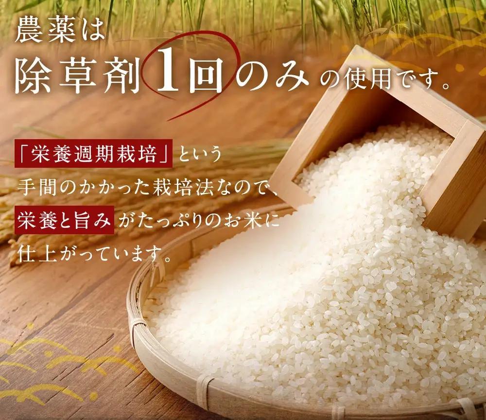 幸田町産「栄養週期栽培米」あいちのかおり 10kg 白米 精米 お米 米 ご飯