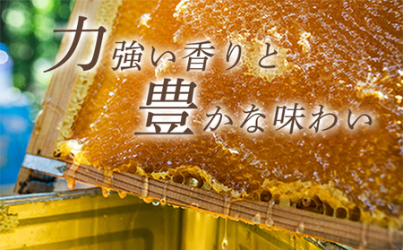 純粋天然 百花はちみつ 1kg×2本