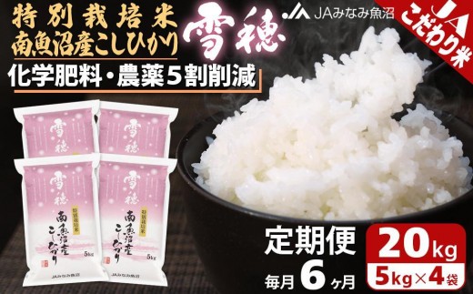 
                  【JAみなみ魚沼定期便】特別栽培米南魚沼産こしひかり「雪穂」（20kg×全6回） ≪精米 農薬5割削減 精米HACCP認定工場 特A獲得日本一産地 高品質精米 もっちり甘い 南魚沼産コシヒカリ 定期便 コシヒカリ こしひかり 精米 銘柄米≫
                