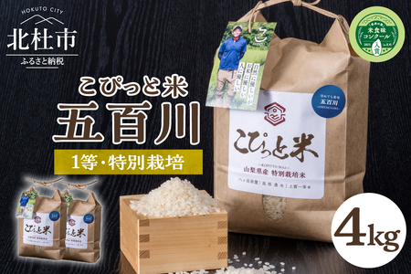 【令和6年度新米先行予約】【令和6年度米】こぴっと米【五百川】4kg　１等特別栽培米100％