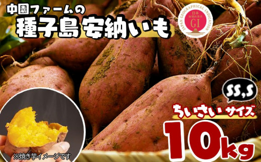 中園ファーム 種子島 安納いも （ 生芋 ） SS,Sサイズ 10kg　NFN473【450pt】 // 安納芋 安納いも発祥の地 本場・安納地域産 糖度 熟成期間 G.I 保護制度 ブランド 金賞 生いも 芋 いも さつまいも