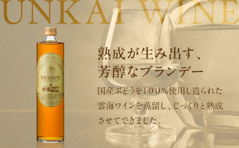 【最速便】雲海葡萄酒醸造所 ブランデー 500ml_M375-005-01-2W