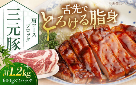 三元豚 肩ロースブロック1.2kg（600g×2パック）《喜茂別町》【平田牧場】 肉 豚肉 ロース ブロック ローストポーク 煮豚 酢豚 煮物 冷凍配送[AJAP075]