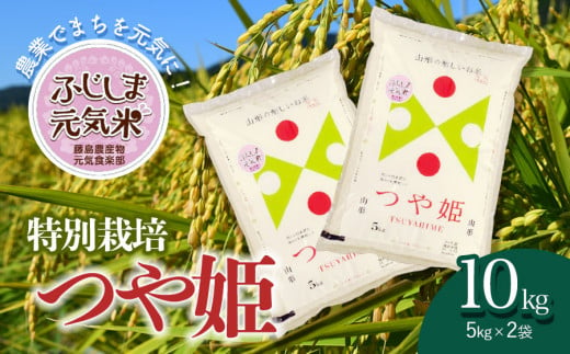 【令和6年産 新米】特別栽培つや姫　ふじしま元気米　10kg（5kg×2）新鮮館Ａコープ藤島店