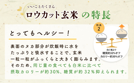 金芽ロウカット玄米 4kg【東洋ライス 2kg×2P お米 米 こめ 国産 小分け】