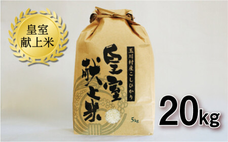 玉川村産コシヒカリ 20kg コシヒカリ 米 お米 ブランド米 銘柄米 備蓄 日本米 こしひかり コメ ごはん ご飯 食品 FT18-269