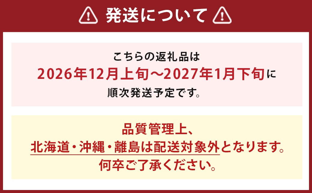 いちご「あまおう」 約270g×2パック 計約540g
