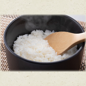 【数量限定】ローマ教皇献上米 令和7年産ミトヒカリ（コシヒカリ特別栽培米）※離島への発送不可※着日指定送不可 【新米 お米 ごはん こしひかり 5キロ 白米 茨城県産 水戸市】（AN-2）