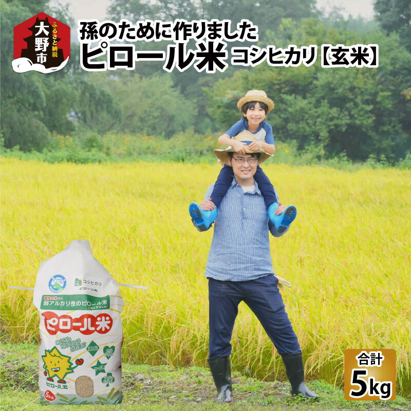 【ふるさと納税】【先行予約】【令和7年産 新米】【孫のために作りました】ピロール米 コシヒカリ 玄米 5kg 化学肥料・農薬50％減【玄米食におすすめ】| 弱アルカリ性 ミネラル ビタミン 送料無料 [A-071001]