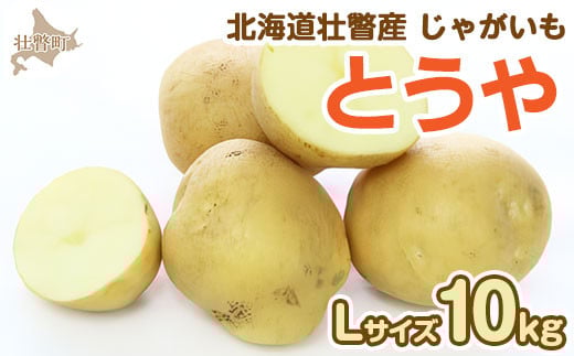 
            ＜2025年9月下旬よりお届け＞北海道壮瞥町産じゃがいも（とうや）Lサイズ10kg 【 ふるさと納税 人気 おすすめ ランキング 野菜 いも 芋 じゃがいも じゃが芋 ジャガイモ ポテト国産 おいしい 美味しい 北海道 壮瞥町 送料無料 】 SBTN005
          