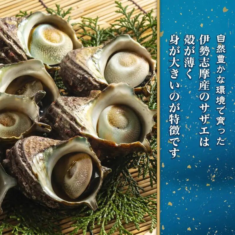 活きサザエ Aコース 1kg（8～12ヶ入り）山金商店 サザエ
