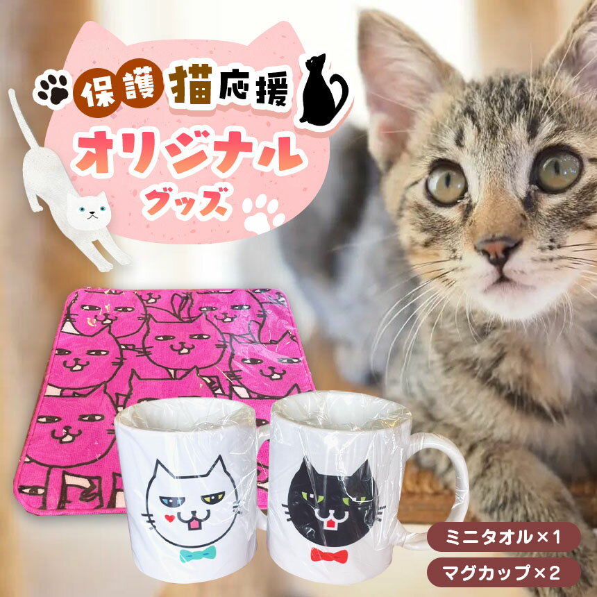 【ふるさと納税】 オリジナル 猫のマグカップ (2個) と ミニタオルのセット 【保護猫応援】 | 猫 ネコ ミニタオル ミニ タオル マグカップ カップ 兵庫県 上郡町 保護猫 応援