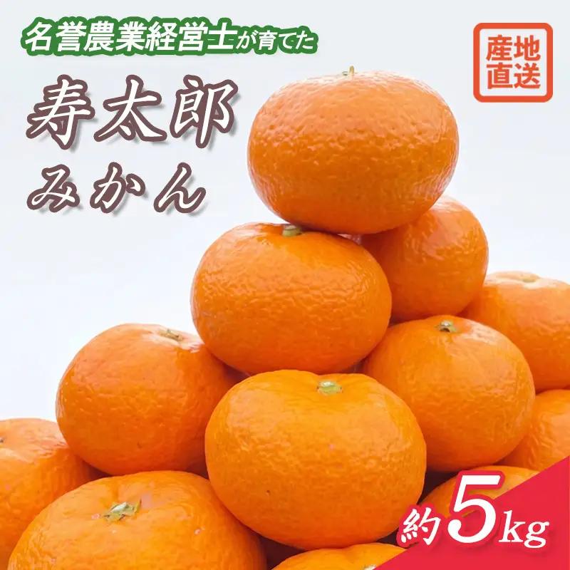 寿太郎 みかん 約 5kg M ? 2L 温州 みかん
