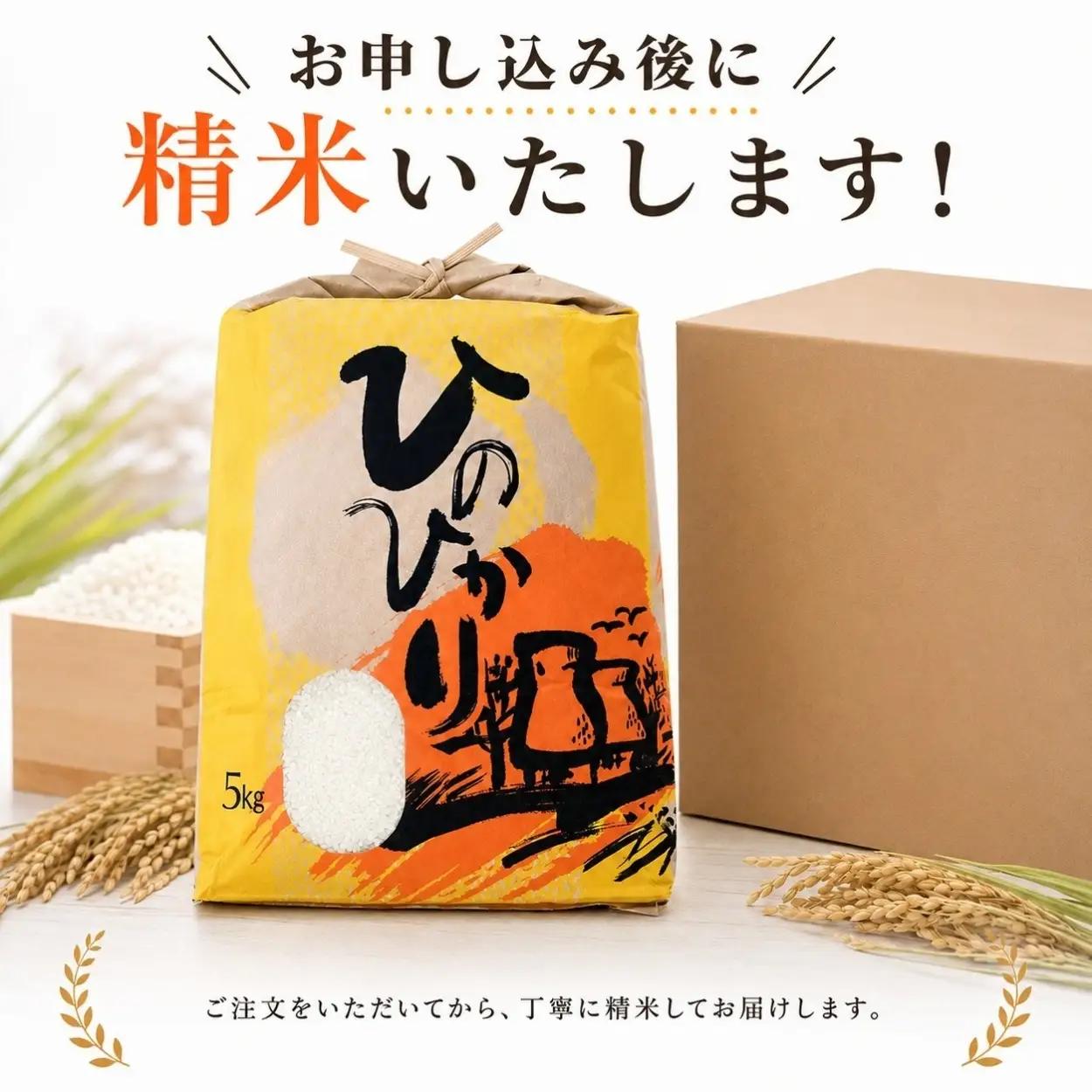 ひのひかり 白米 5kg 2025年産［1121-4］
