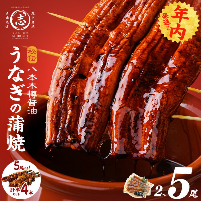 【ふるさと納税】高評価★4.80《5尾 25,000円》国産 八本木樽 鰻 蒲焼 ＜2尾＞or＜5尾 うなぎ肝串4本セット ※ポータル限定＞(1尾あたり160g以上) うなぎ unagi 九州産 蒲焼き 冷凍 うな丼 うな重 ランキング 人気【志布志市制20周年記念】【山田水産】