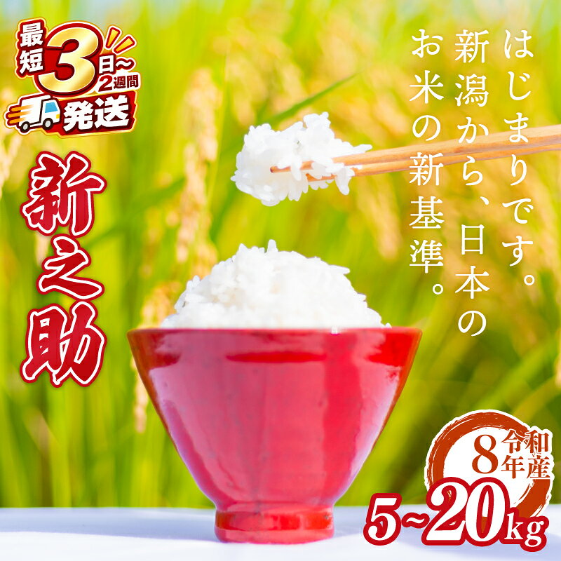 【ふるさと納税】 新米 新之助 5～20kg 新潟県産 しんのすけ 白米 米 国産 環境こだわり おこめ お米 ご飯 ごはん オニギリ お弁当 kome 送料無料 数量限定 農家直送 産地直送 国産 川瀬農園 四代目 悠助 新潟 新発田 kwsSS001P