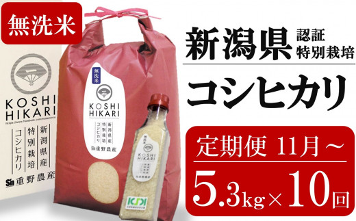 新米先行予約【10ヶ月定期便・11月～発送】コシヒカリ 無洗米 5kg（ペットボトル米 300g 1本付き）×10回 （計 53kg）重ちゃんのお米 令和8年産米 [Y0081]