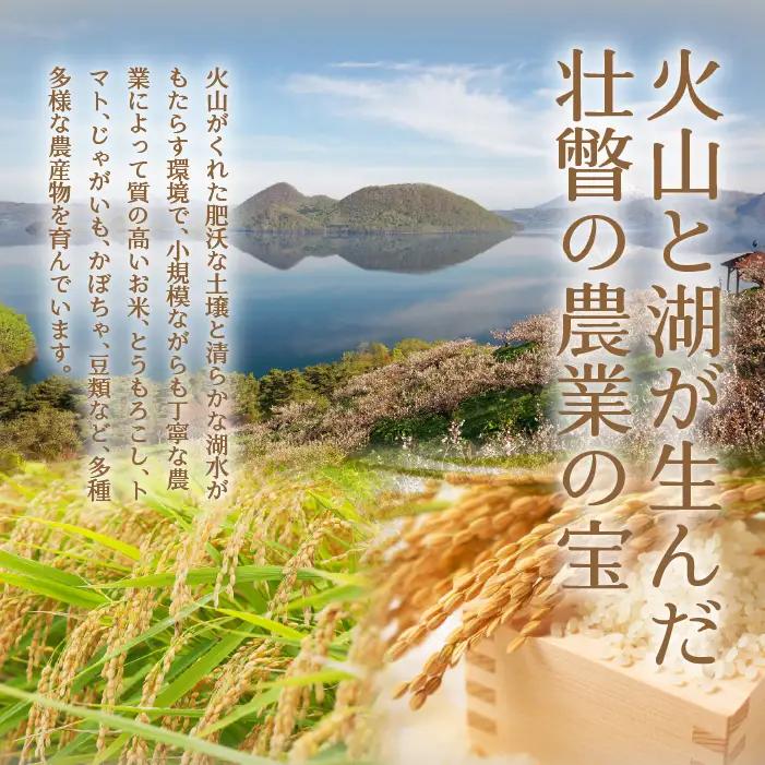 【令和7年産 3ヶ月定期配送】（精米10kg）食べ比べセット（ゆめぴりか、ななつぼし） SBTD133