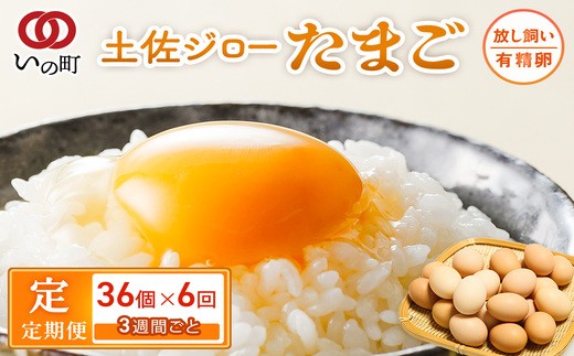 【定期便】土佐ジローたまご（1箱36個入）×6回   約3週間毎に1回