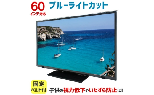 60MBL5　60インチ用　テレビ画面保護パネル　ブルーライトカットタイプ　位置調整用スペーサー付【1669383】