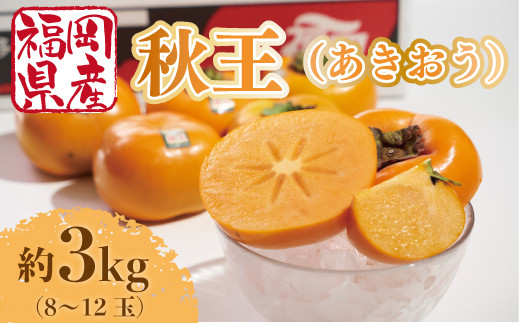 
                  【期間限定発送】 柿 秋王 8-12玉 約 3kg [南国フルーツ 福岡県 宇美町 um40azo970029] 福岡県産 あきおう かき フルーツ 果物 くだもの 
                
