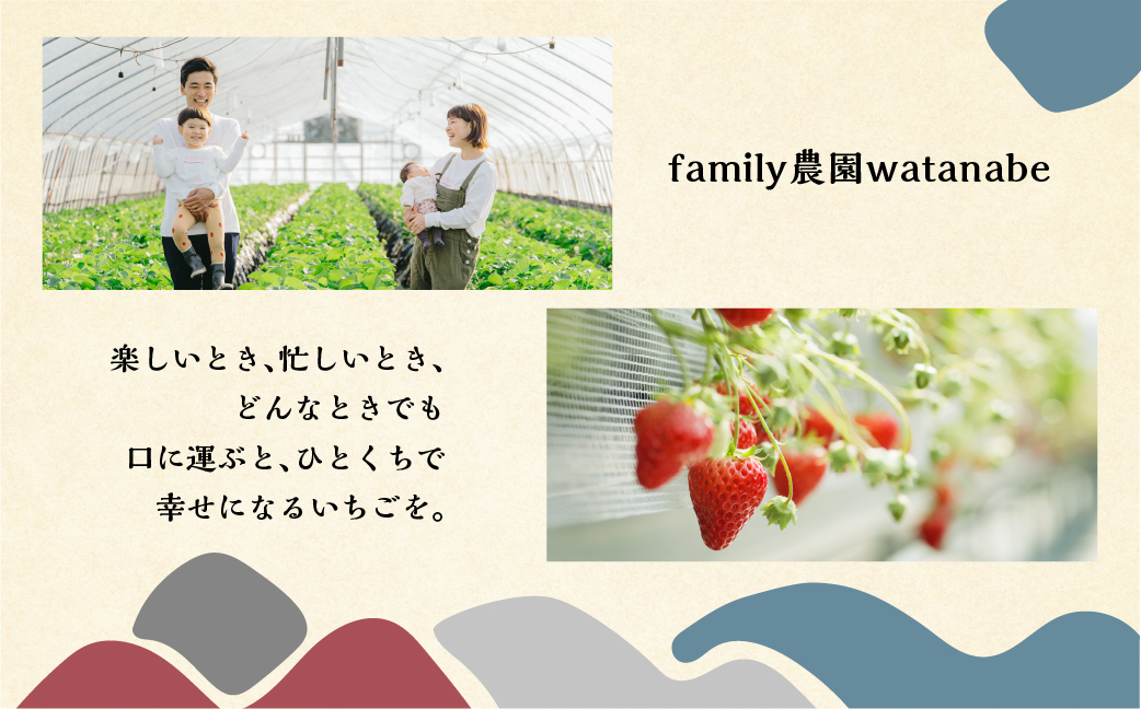 【3回定期便】いちごとココアのグラノーラ2袋 family農園watanabe ココア いちご 紅ほっぺ シリアル 朝食 ギフト ｜フルーツ スイーツ 苺 牛乳 デザート おやつ イチゴ 子ども 大人