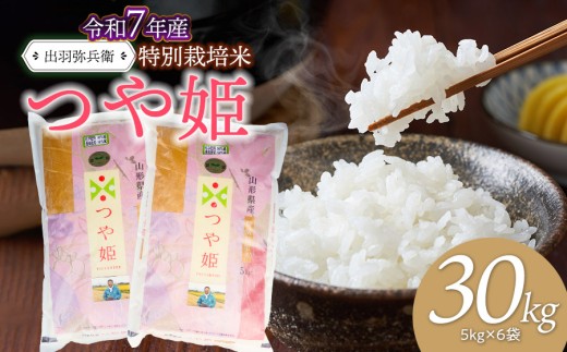 【令和7年産】特別栽培米 つや姫 【白米】 30kg（5kg×6袋）　山形県鶴岡市産　出羽弥兵衛　| お米 米 コメ こめ ライス つやひめ 30キロ 精米 ご飯 ブランド米 国産 主食 お取り寄せ 返礼品